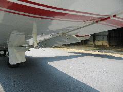 Wing - Left Bottom.jpg